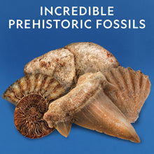 Load image into Gallery viewer, National Geographic Rock Collection Box for Kids – 300 Piece Rock Set with Real Fossils, Gemstones, and Crystals- Includes Absolute Expert: Rocks & Minerals Full-Color Book