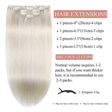 Load image into Gallery viewer, Platinum Blonde Human Hair Clip in Extensions 20 Inch Clip in Hair Extensions Real Human Hair #60 Remy Hair Extensions for Women Easy to Install 5pcs 80g/2.82oz
