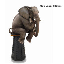 Load image into Gallery viewer, Portable Retractable Folding Stool - Etrendpro
